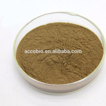 Bodybuilding Ergänzungen Foti Extract Powder, Foti